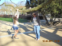 /album/studencka-galeria1/ma%c5%82pki%20w%20naszej%20grupie%20te%c5%bc%20si%c4%99%20zdarzaj%c4%85-jpg/